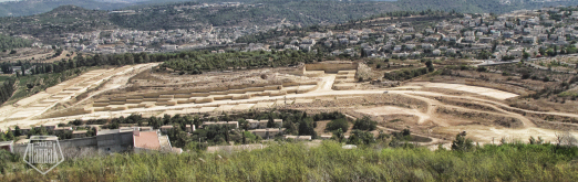 הרחבה קרית ענבים
