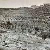 1953 בקצה ירושלים 