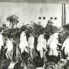 ריקוד הפטריות חנוכה 1951